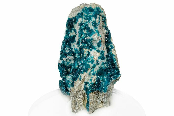 Beautiful Blue Veszelyite Crystal Cluster - Congo #304342